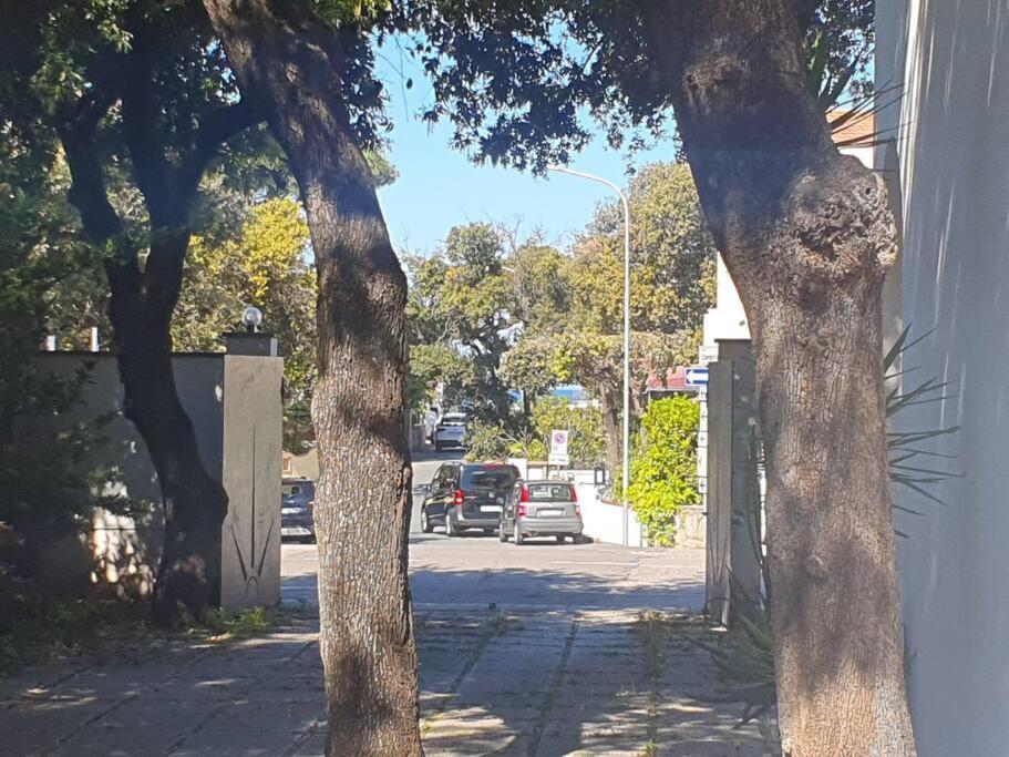Lecci Al Mare San Vincenzo